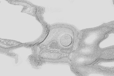 Seramik duvar ve döşemeler için doku arkaplanı. Banyo, mutfak kiremitleri. Duvar kağıdı..