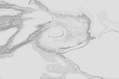 Seramik duvar ve döşemeler için doku arkaplanı. Banyo, mutfak kiremitleri. Duvar kağıdı..