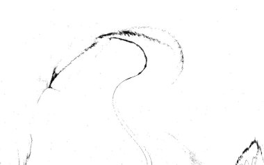 Yüksek kaliteli soyut Çin manzara resminin modern sanat arka planı alkol mürekkebiyle sunulmuştur..