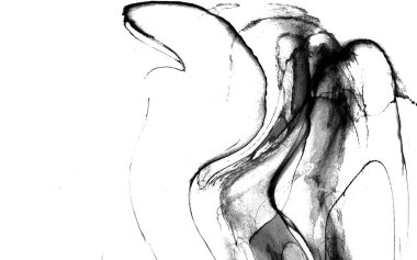 Yüksek kaliteli soyut Çin manzara resminin modern sanat arka planı alkol mürekkebiyle sunulmuştur..