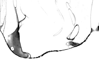 Yüksek kaliteli soyut Çin manzara resminin modern sanat arka planı alkol mürekkebiyle sunulmuştur..