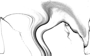 Yüksek kaliteli soyut Çin manzara resminin modern sanat arka planı alkol mürekkebiyle sunulmuştur..