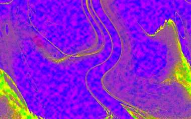 Hayattaki yaratıcı çizimler. Tasarımcılar için renkli ve güzel arkaplan modelleri.