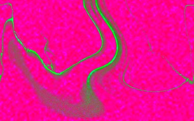 Hayattaki yaratıcı çizimler. Tasarımcılar için renkli ve güzel arkaplan modelleri.