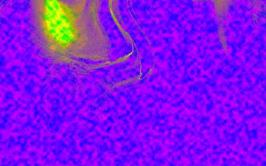 Hayattaki yaratıcı çizimler. Tasarımcılar için renkli ve güzel arkaplan modelleri.