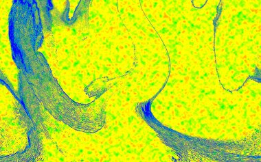 Hayattaki yaratıcı çizimler. Tasarımcılar için renkli ve güzel arkaplan modelleri.