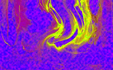 Hayattaki yaratıcı çizimler. Tasarımcılar için renkli ve güzel arkaplan modelleri.