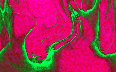 Hayattaki yaratıcı çizimler. Tasarımcılar için renkli ve güzel arkaplan modelleri.