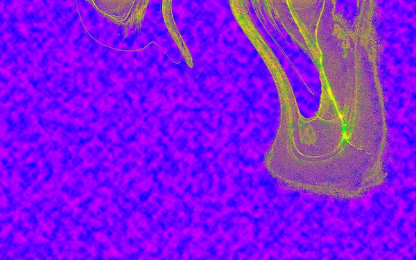 Hayattaki yaratıcı çizimler. Tasarımcılar için renkli ve güzel arkaplan modelleri.