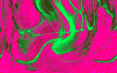 Hayattaki yaratıcı çizimler. Tasarımcılar için renkli ve güzel arkaplan modelleri.