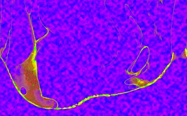 Hayattaki yaratıcı çizimler. Tasarımcılar için renkli ve güzel arkaplan modelleri.
