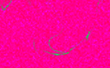 Hayattaki yaratıcı çizimler. Tasarımcılar için renkli ve güzel arkaplan modelleri.