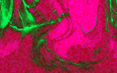 Hayattaki yaratıcı çizimler. Tasarımcılar için renkli ve güzel arkaplan modelleri.