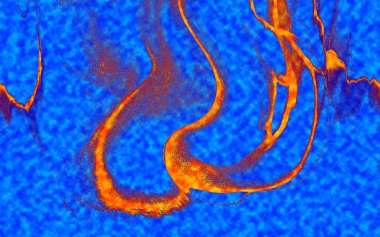 Hayattaki yaratıcı çizimler. Tasarımcılar için renkli ve güzel arkaplan modelleri.