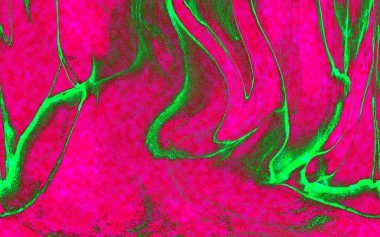 Hayattaki yaratıcı çizimler. Tasarımcılar için renkli ve güzel arkaplan modelleri.