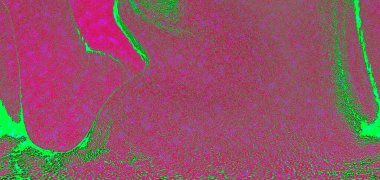 Hayattaki yaratıcı çizimler. Tasarımcılar için renkli ve güzel arkaplan modelleri.