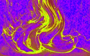 Hayattaki yaratıcı çizimler. Tasarımcılar için renkli ve güzel arkaplan modelleri.