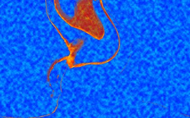 Hayattaki yaratıcı çizimler. Tasarımcılar için renkli ve güzel arkaplan modelleri.