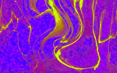 Hayattaki yaratıcı çizimler. Tasarımcılar için renkli ve güzel arkaplan modelleri.