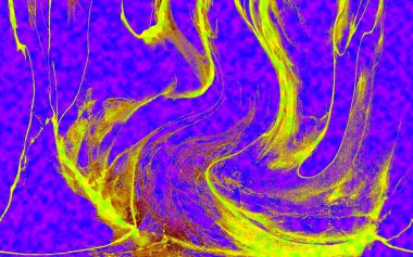 Hayattaki yaratıcı çizimler. Tasarımcılar için renkli ve güzel arkaplan modelleri.