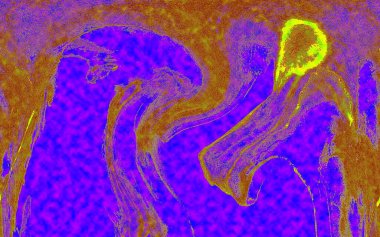 Hayattaki yaratıcı çizimler. Tasarımcılar için renkli ve güzel arkaplan modelleri.