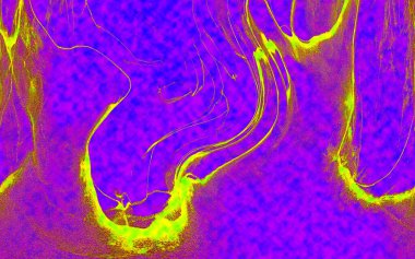 Hayattaki yaratıcı çizimler. Tasarımcılar için renkli ve güzel arkaplan modelleri.