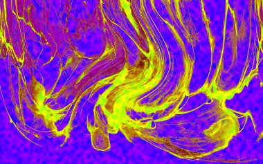 Hayattaki yaratıcı çizimler. Tasarımcılar için renkli ve güzel arkaplan modelleri.