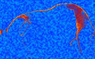 Hayattaki yaratıcı çizimler. Tasarımcılar için renkli ve güzel arkaplan modelleri.