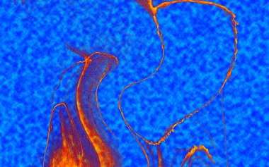 Hayattaki yaratıcı çizimler. Tasarımcılar için renkli ve güzel arkaplan modelleri.