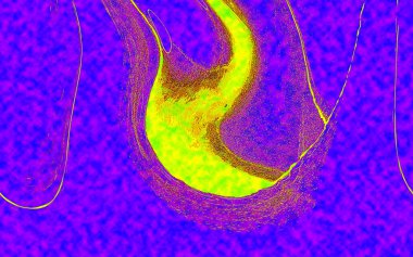 Hayattaki yaratıcı çizimler. Tasarımcılar için renkli ve güzel arkaplan modelleri.