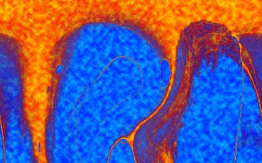 Hayattaki yaratıcı çizimler. Tasarımcılar için renkli ve güzel arkaplan modelleri.