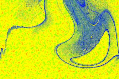 Hayattaki yaratıcı çizimler. Tasarımcılar için renkli ve güzel arkaplan modelleri.