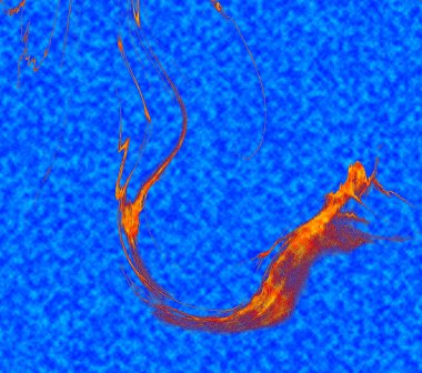 Hayattaki yaratıcı çizimler. Tasarımcılar için renkli ve güzel arkaplan modelleri.