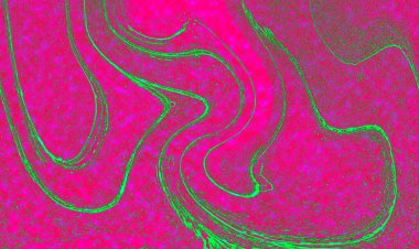 Hayattaki yaratıcı çizimler. Tasarımcılar için renkli ve güzel arkaplan modelleri.