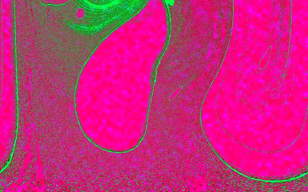 Hayattaki yaratıcı çizimler. Tasarımcılar için renkli ve güzel arkaplan modelleri.