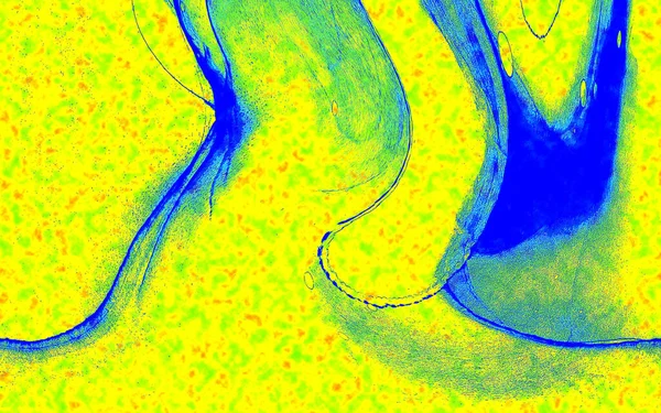 Hayattaki yaratıcı çizimler. Tasarımcılar için renkli ve güzel arkaplan modelleri.