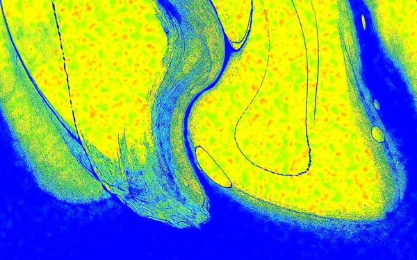 Hayattaki yaratıcı çizimler. Tasarımcılar için renkli ve güzel arkaplan modelleri.