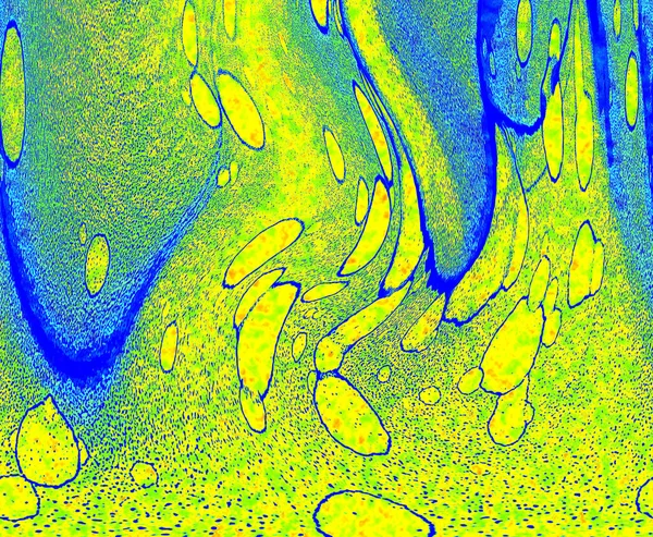 Hayattaki yaratıcı çizimler. Tasarımcılar için renkli ve güzel arkaplan modelleri.