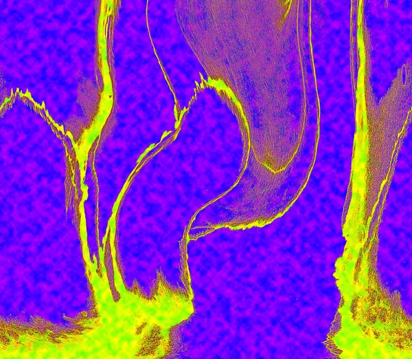 Hayattaki yaratıcı çizimler. Tasarımcılar için renkli ve güzel arkaplan modelleri.