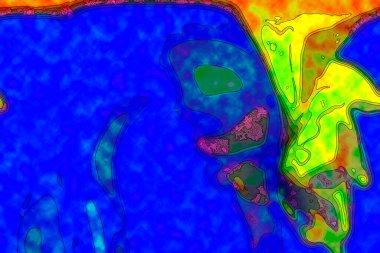 Hayattaki yaratıcı çizimler. Tasarımcılar için renkli ve güzel arkaplan modelleri.