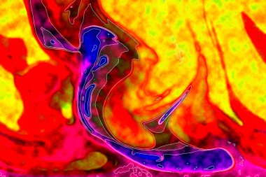 Hayattaki yaratıcı çizimler. Tasarımcılar için renkli ve güzel arkaplan modelleri.