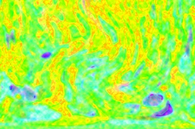 Hayattaki yaratıcı çizimler. Tasarımcılar için renkli ve güzel arkaplan modelleri.