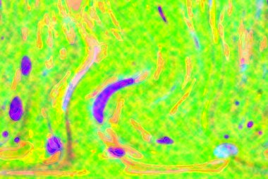 Hayattaki yaratıcı çizimler. Tasarımcılar için renkli ve güzel arkaplan modelleri.