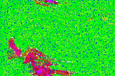 Hayattaki yaratıcı çizimler. Tasarımcılar için renkli ve güzel arkaplan modelleri.