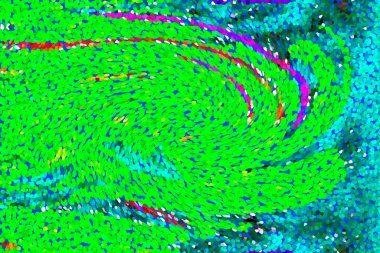 Hayattaki yaratıcı çizimler. Tasarımcılar için renkli ve güzel arkaplan modelleri.