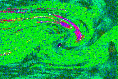 Hayattaki yaratıcı çizimler. Tasarımcılar için renkli ve güzel arkaplan modelleri.