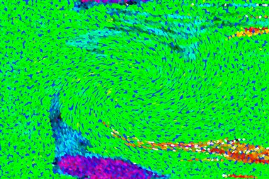 Hayattaki yaratıcı çizimler. Tasarımcılar için renkli ve güzel arkaplan modelleri.