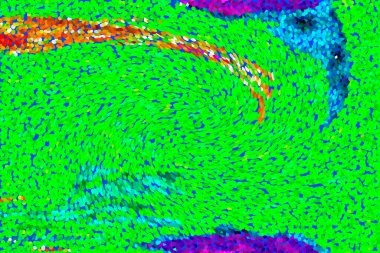Hayattaki yaratıcı çizimler. Tasarımcılar için renkli ve güzel arkaplan modelleri.
