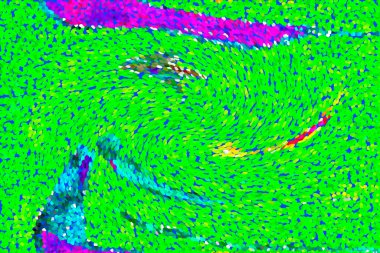 Hayattaki yaratıcı çizimler. Tasarımcılar için renkli ve güzel arkaplan modelleri.