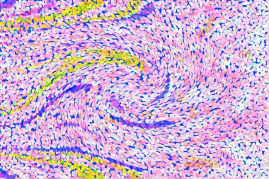 Hayattaki yaratıcı çizimler. Tasarımcılar için renkli ve güzel arkaplan modelleri.